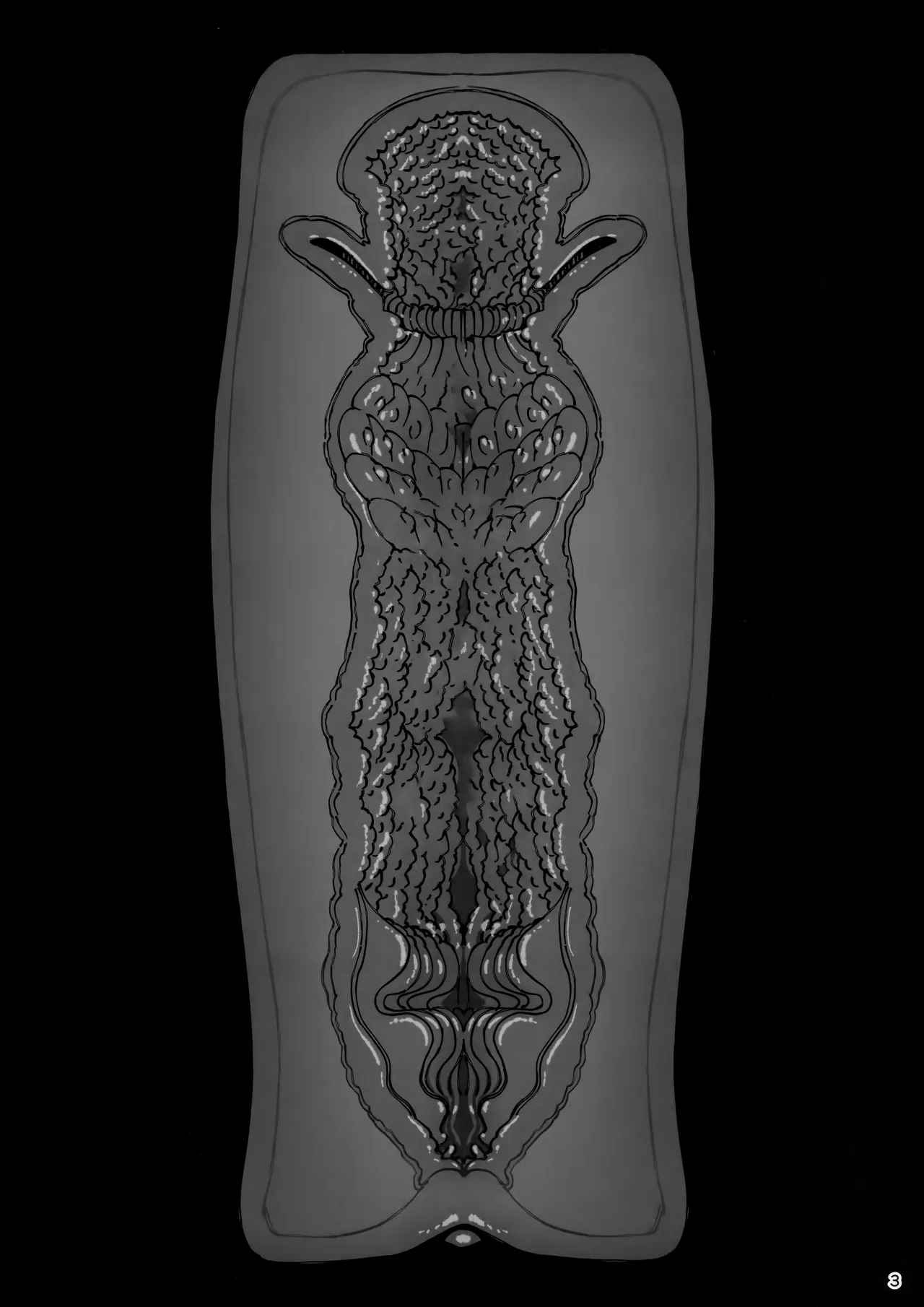 大切に人間として育てていただいたのにオナホでごめんなさい♥ - page3