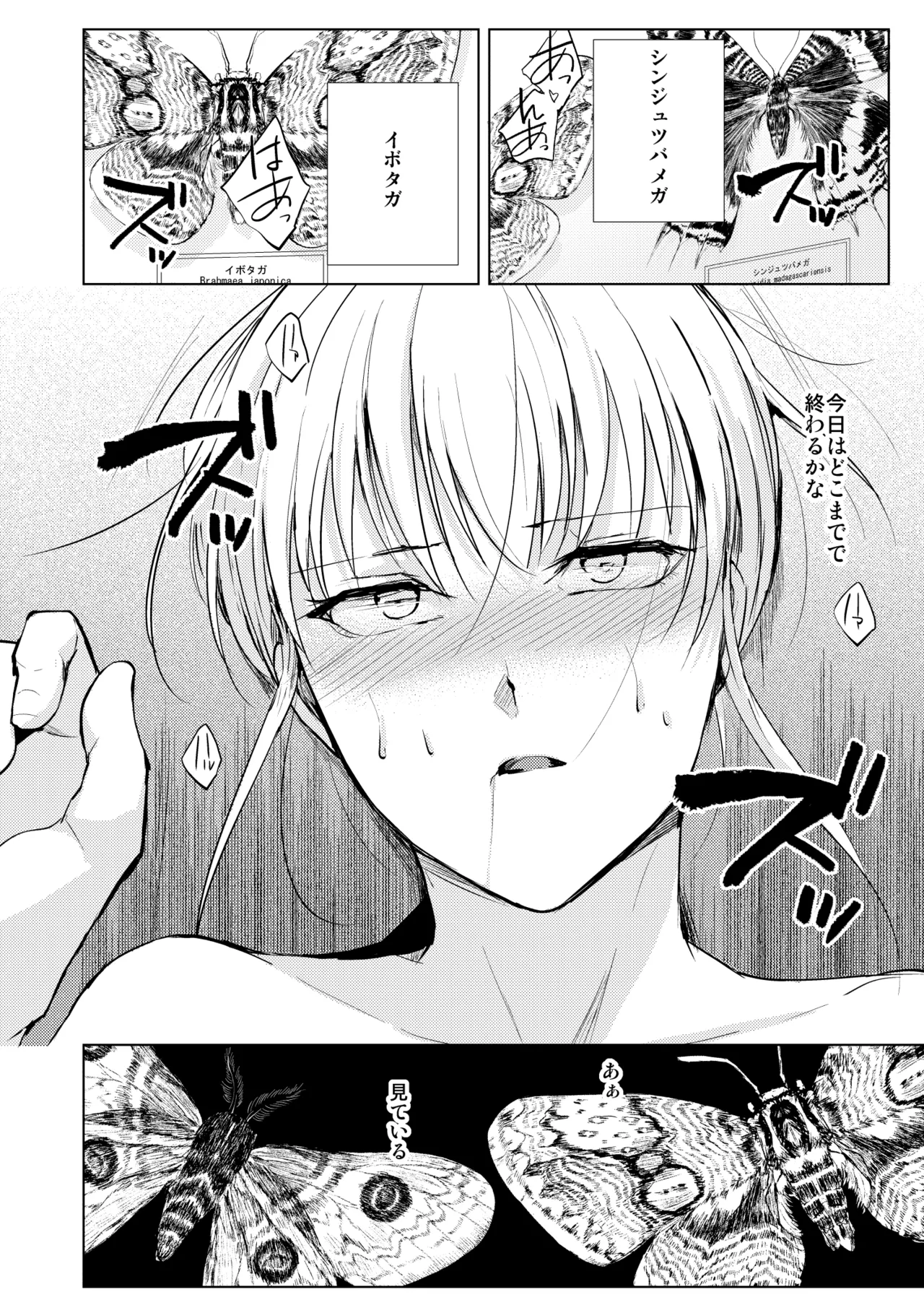 藤屋敷の標本 - page21