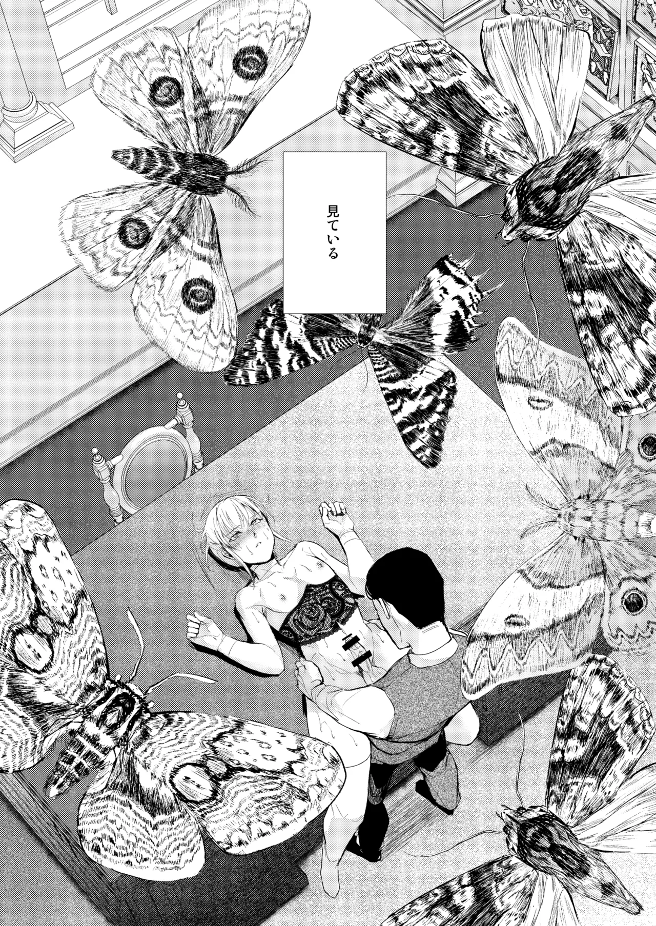 藤屋敷の標本 - page22