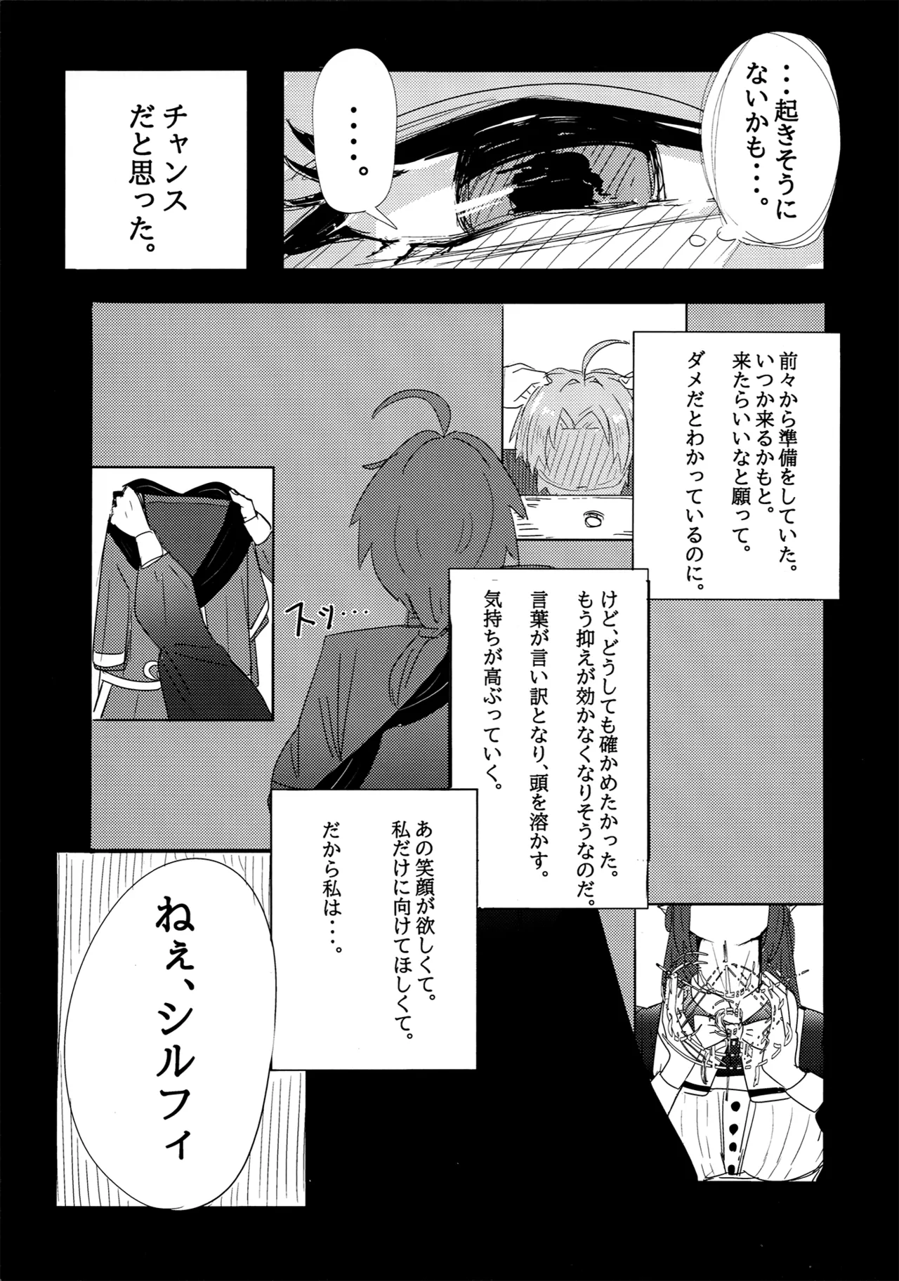 アイシエット アイシャ × シルフィエット 本 - page13