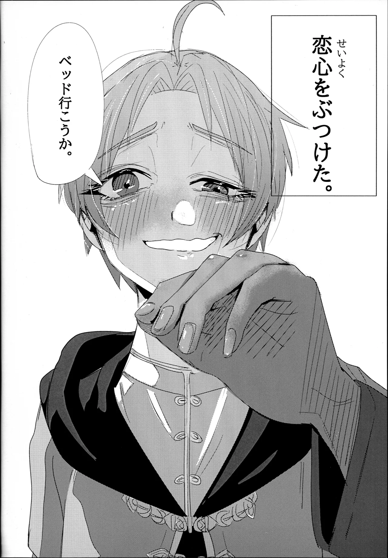 アイシエット アイシャ × シルフィエット 本 - page14