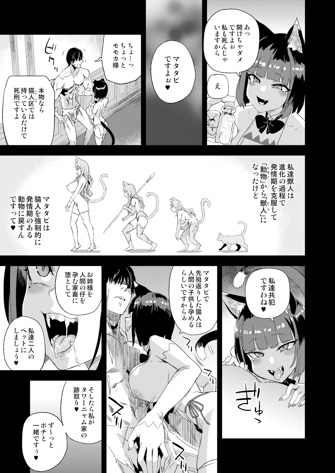猫族娘はヒトを飼う。 - page12