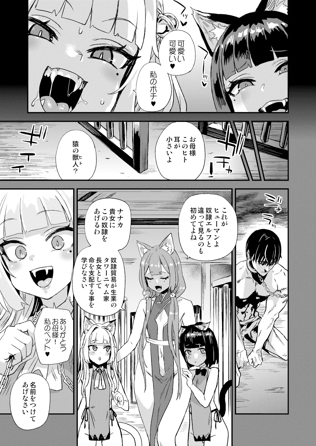猫族娘はヒトを飼う。 - page4