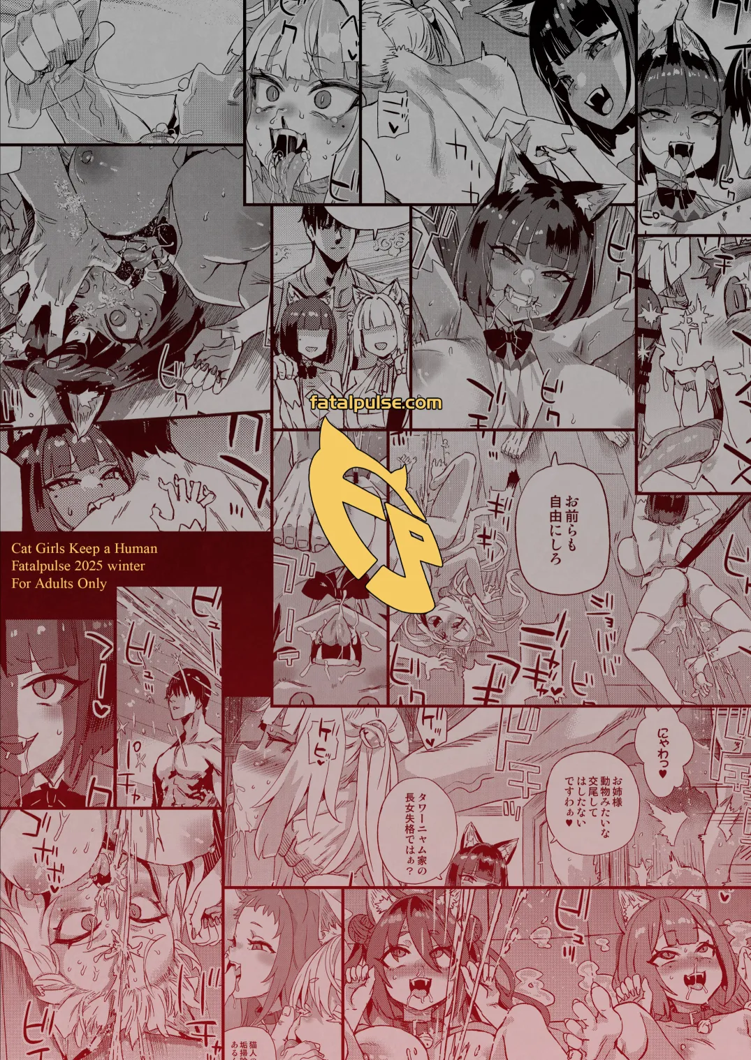 猫族娘はヒトを飼う。 - page50