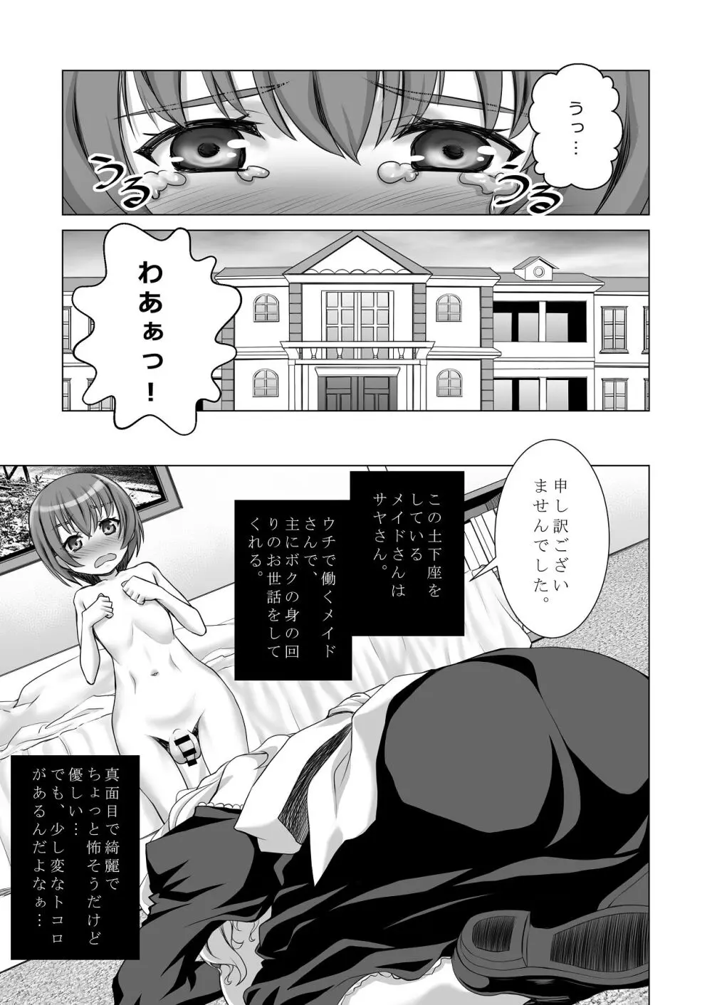 ウチのメイドさんはちょっと変 - page4