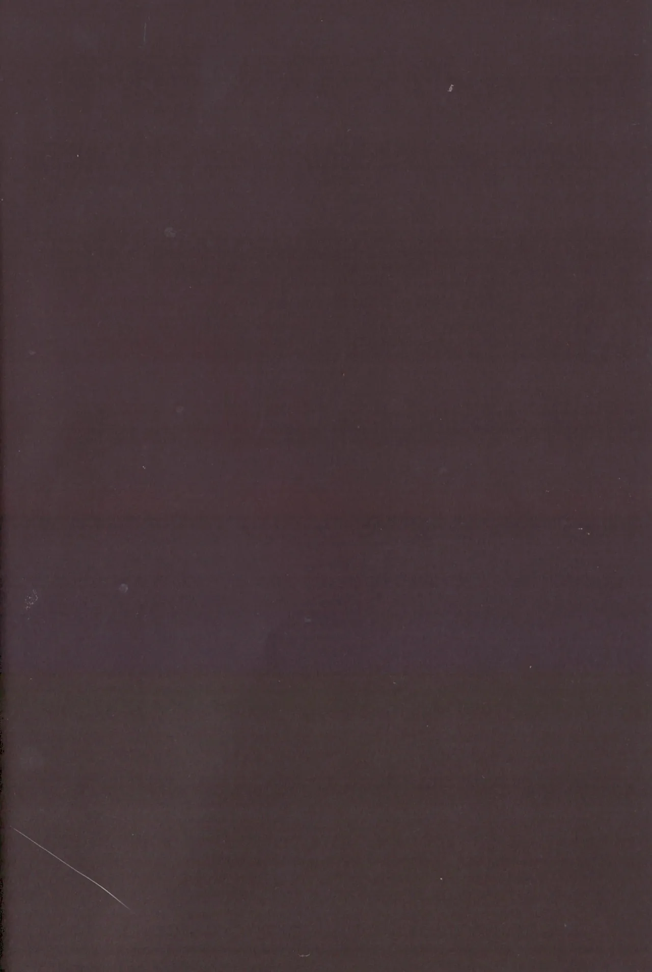 The other side of the mosaic - page2