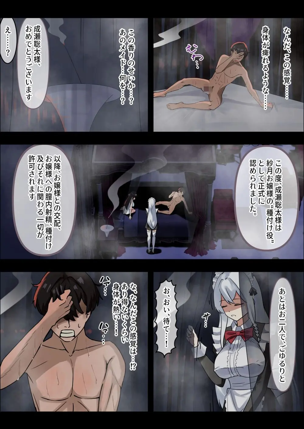 お嬢様の種付役にされた俺は、名家の令嬢を孕ませるほど種付け中出しをしてしまった…1 - page25