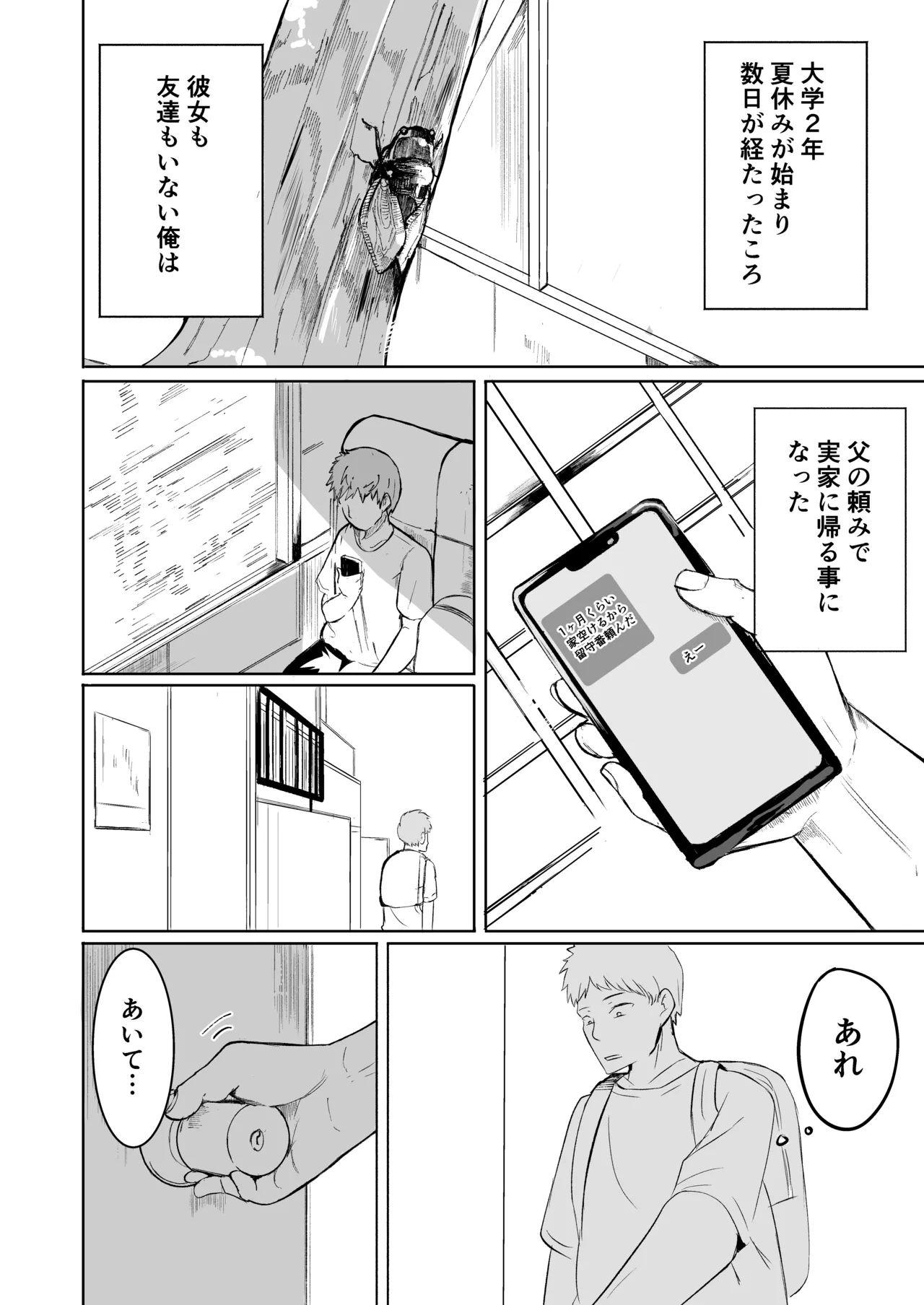 お兄さんだけの義妹の穴（る） - page4
