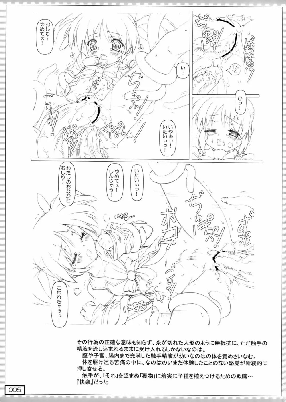 nanO RAISER - page5