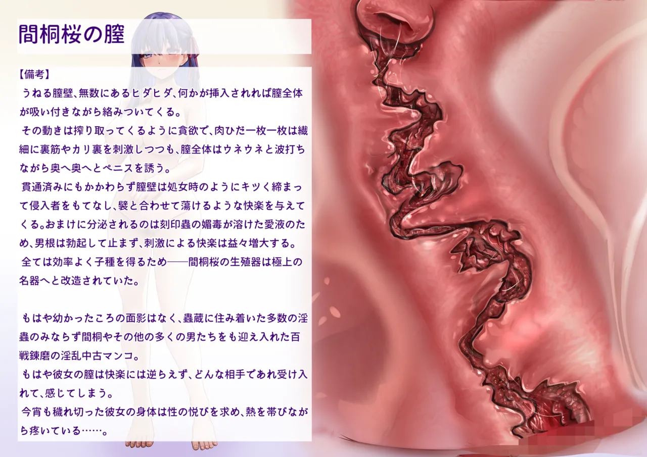 間桐桜のエロステ立ち絵 - page42