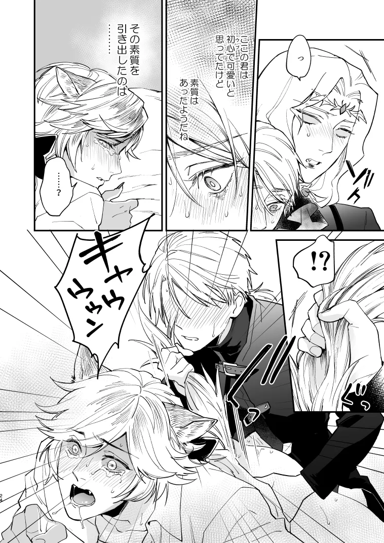 いぬのしつけと乱入者 - page23