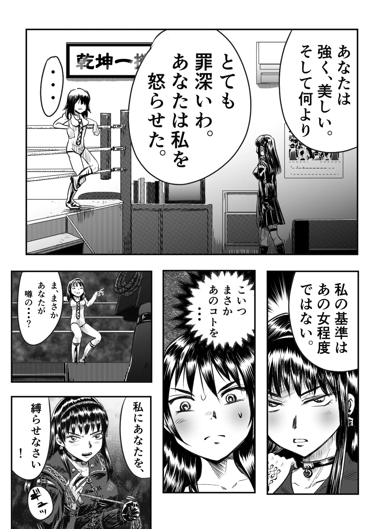 縛闘姫伝SPHINX act5 vsプロレス - page13