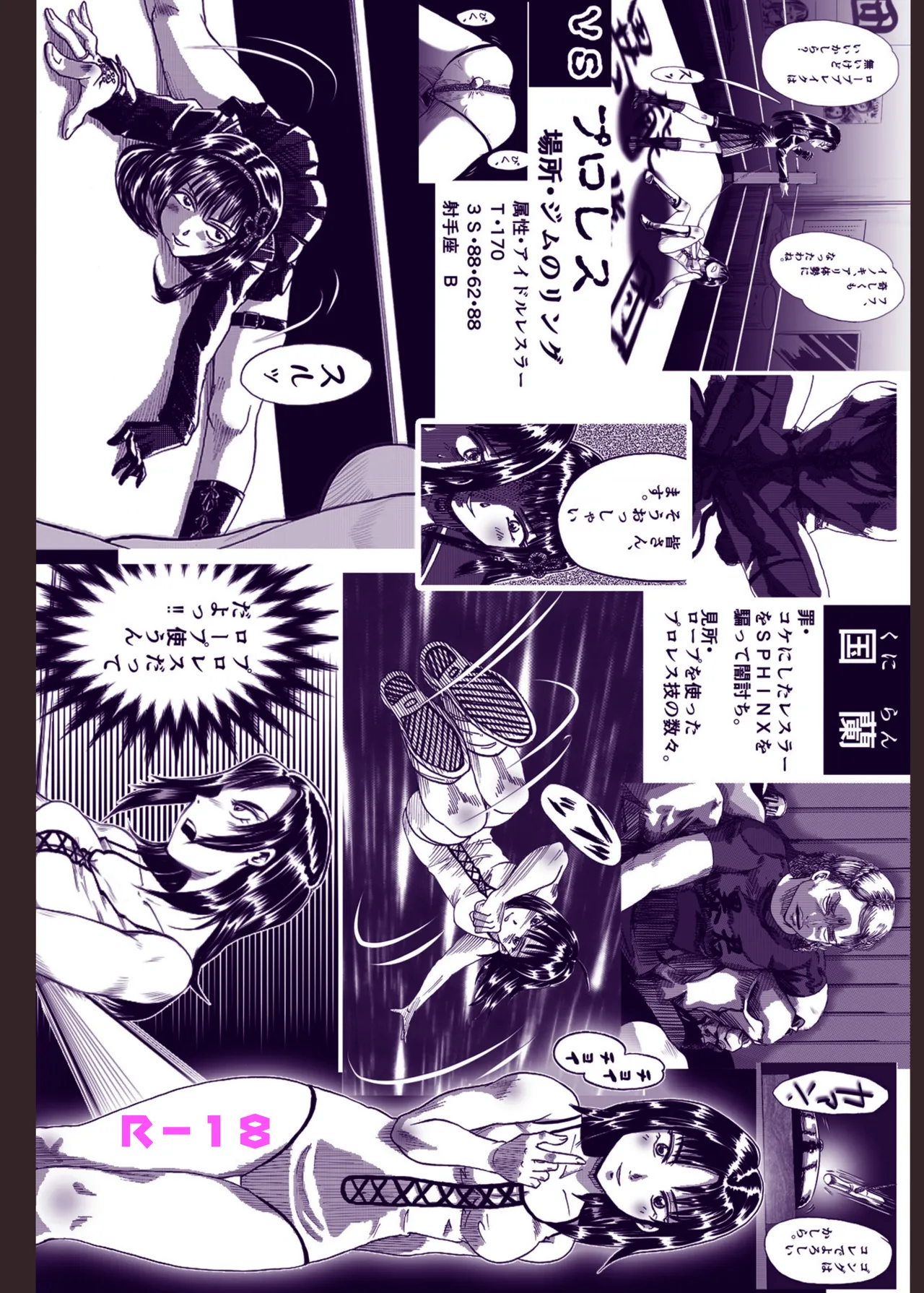 縛闘姫伝SPHINX act5 vsプロレス - page66