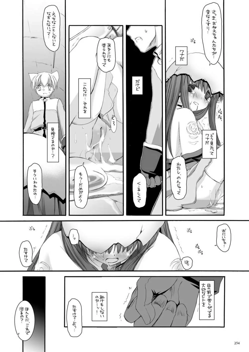 DL-RO総集編01 - page253