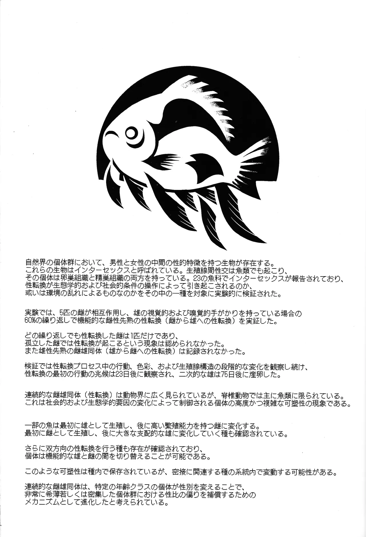 Kedashi metamorufoze - page2