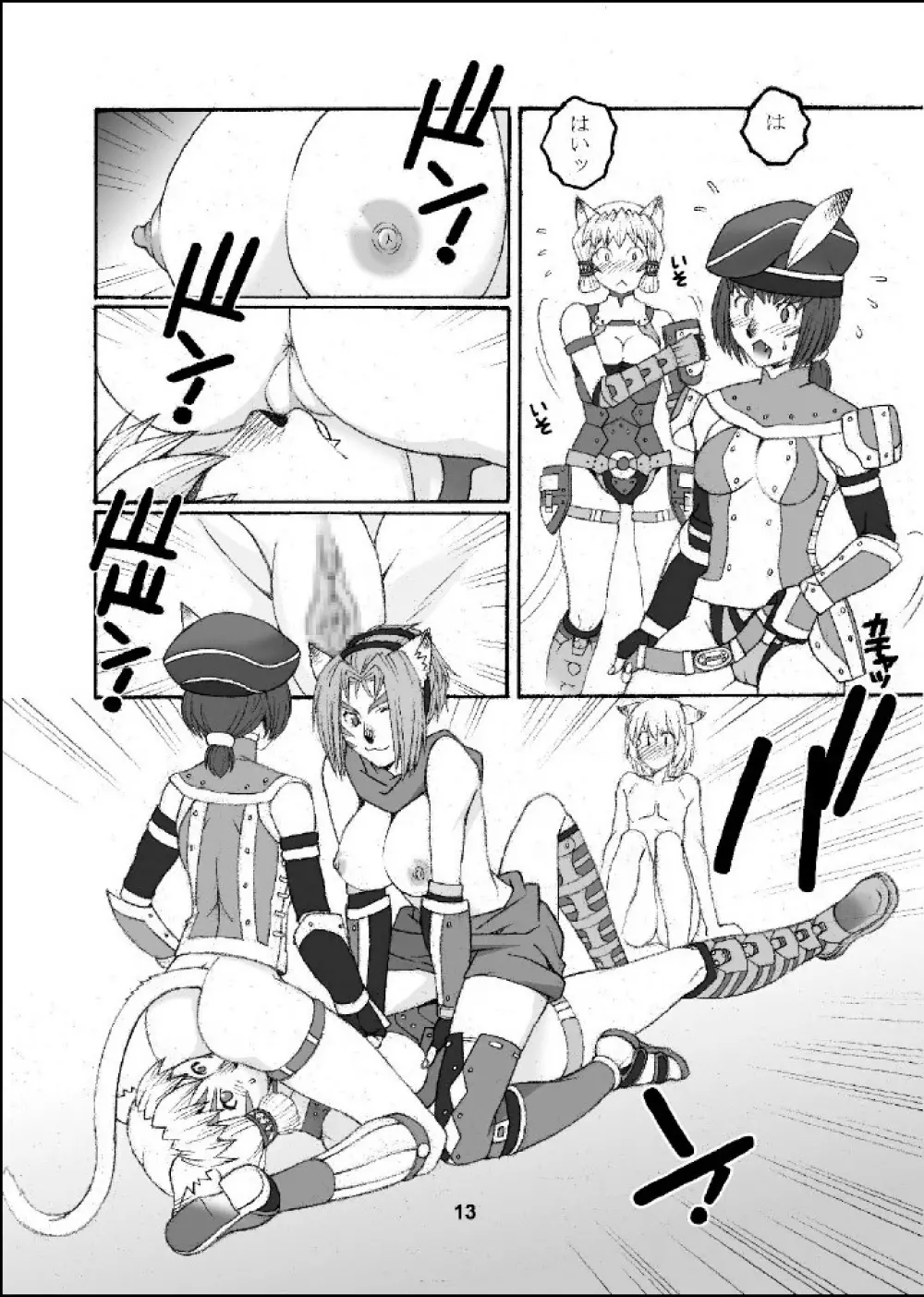 ミスラを愛でる本 - page12