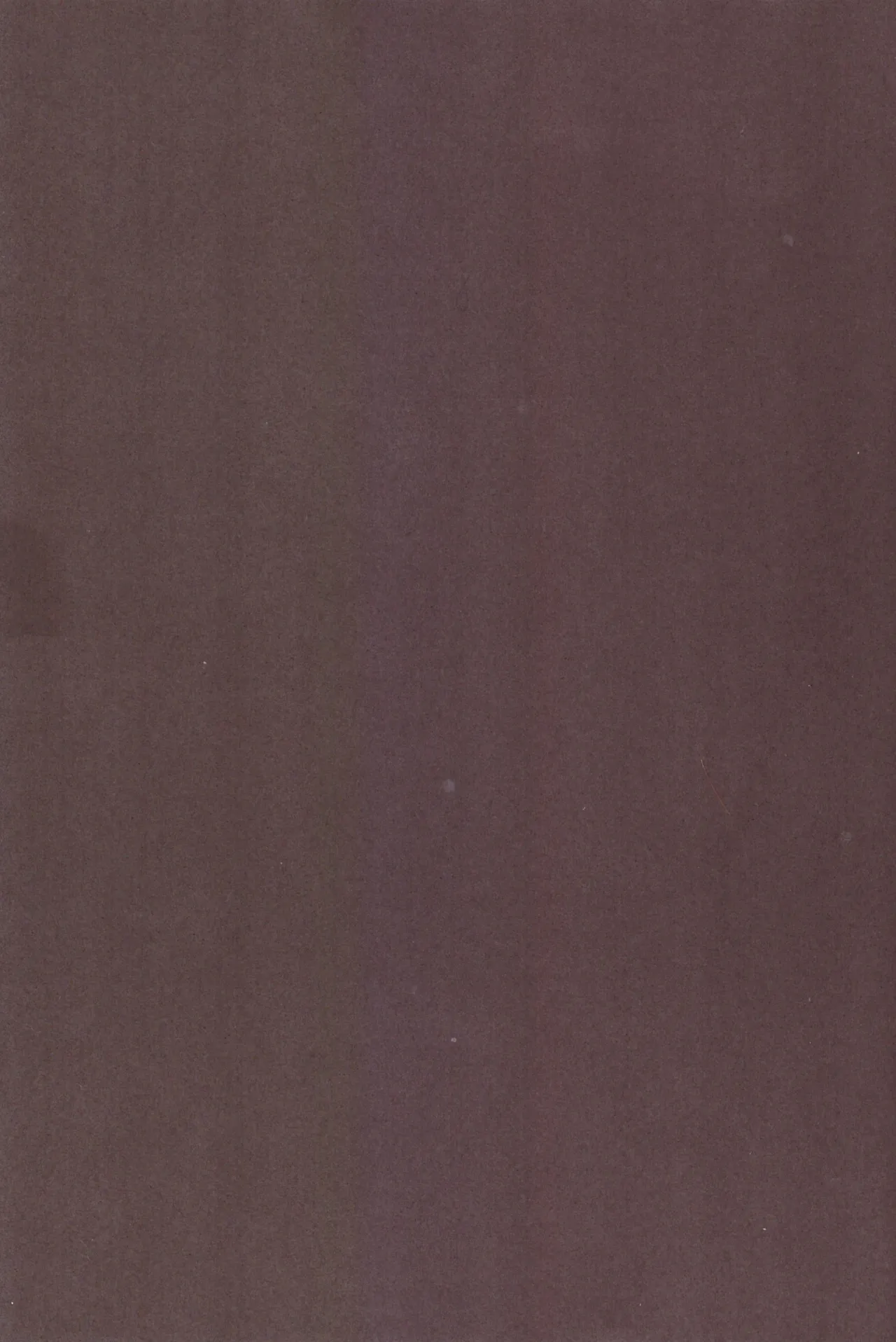 Shiri doru icchi to oshiri ni dashi tako ittō shō! - page4