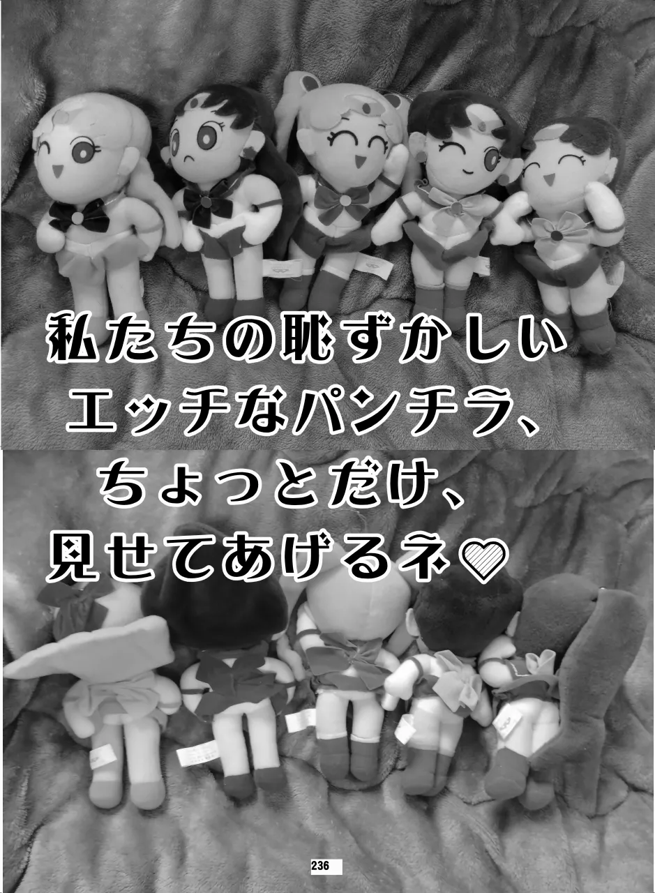 セラムン毒本 - page235