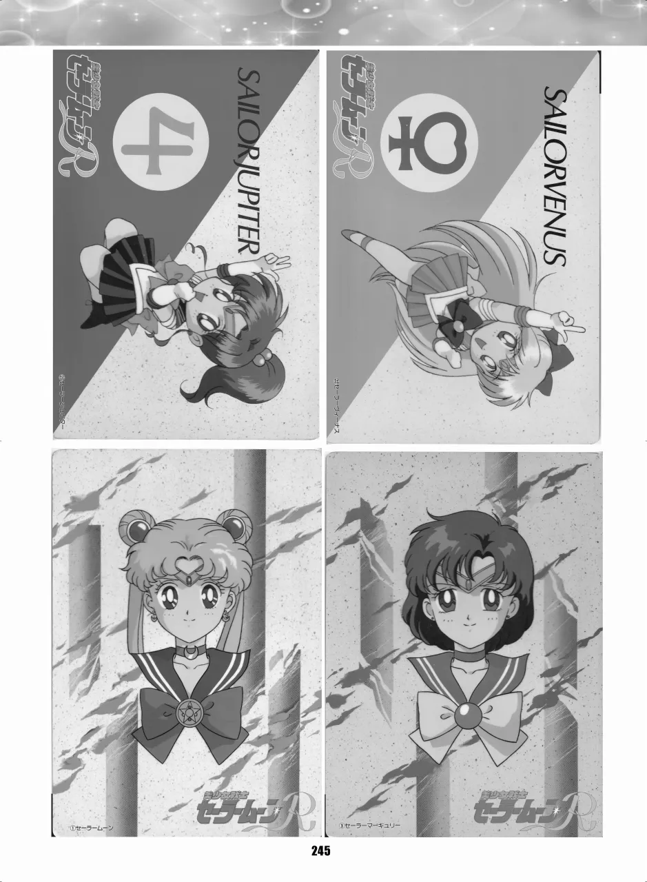 セラムン毒本 - page244