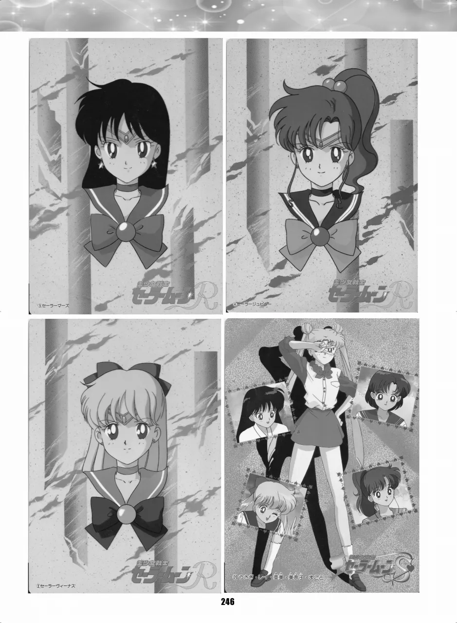 セラムン毒本 - page245