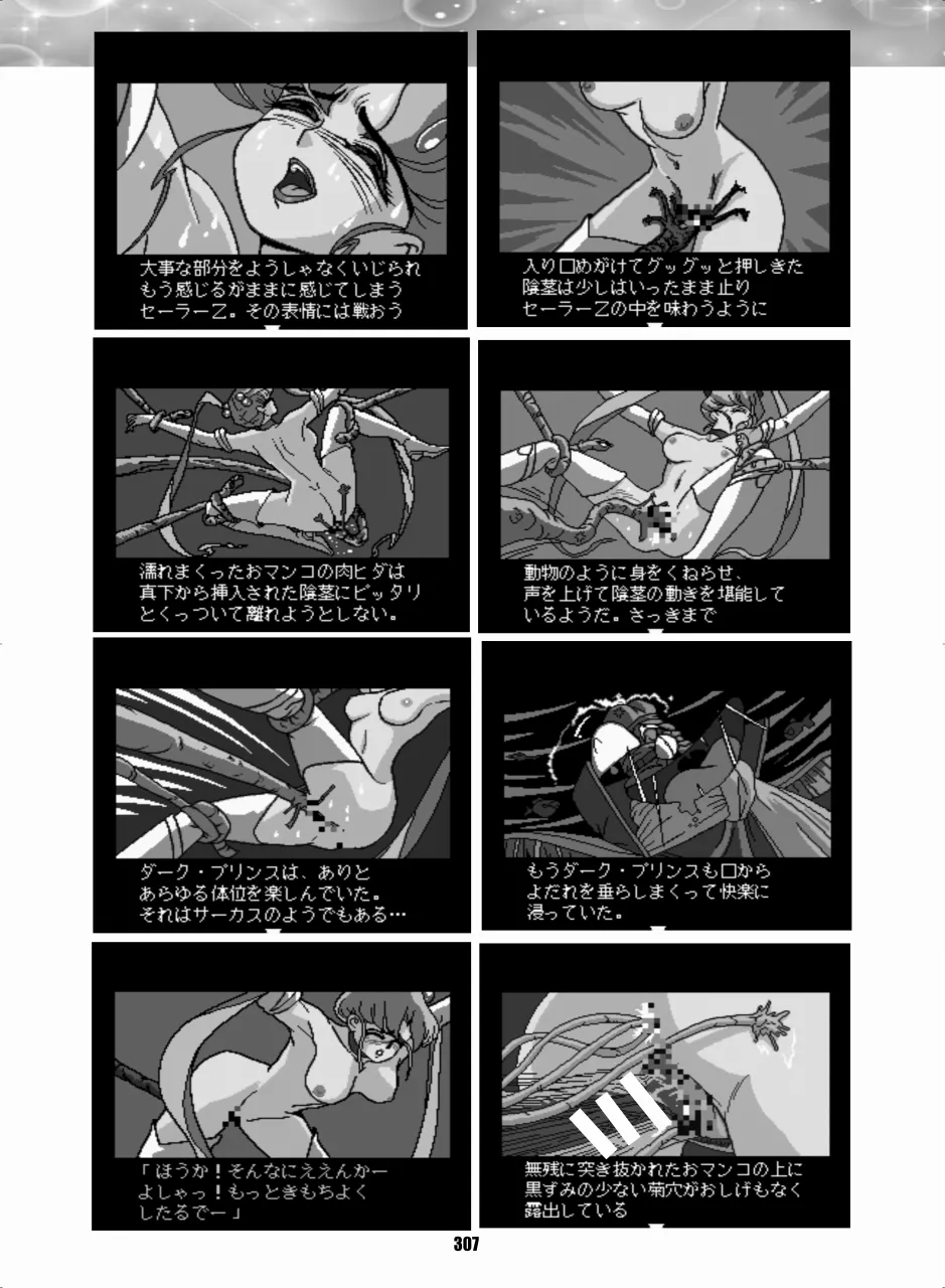 セラムン毒本 - page306