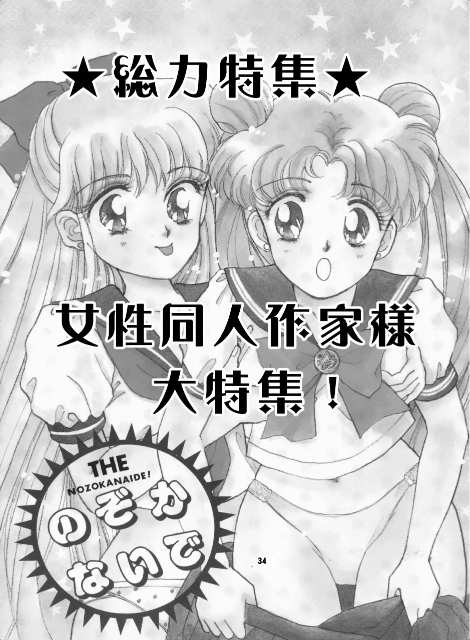 セラムン毒本 - page33