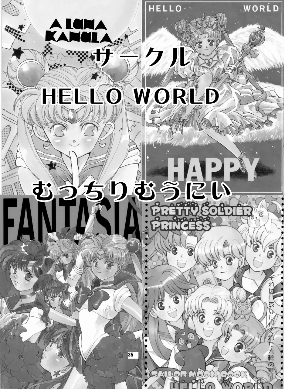 セラムン毒本 - page34