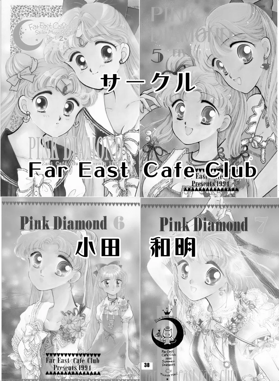 セラムン毒本 - page37