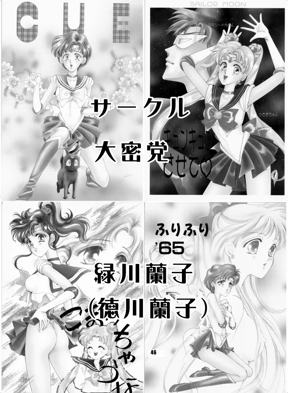 セラムン毒本 - page45