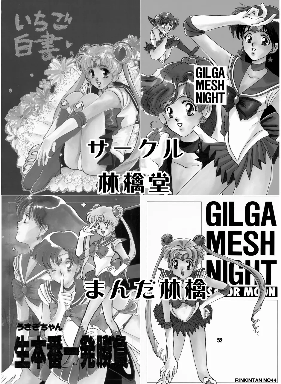 セラムン毒本 - page51