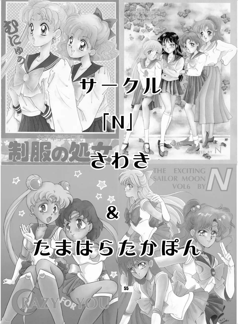 セラムン毒本 - page54