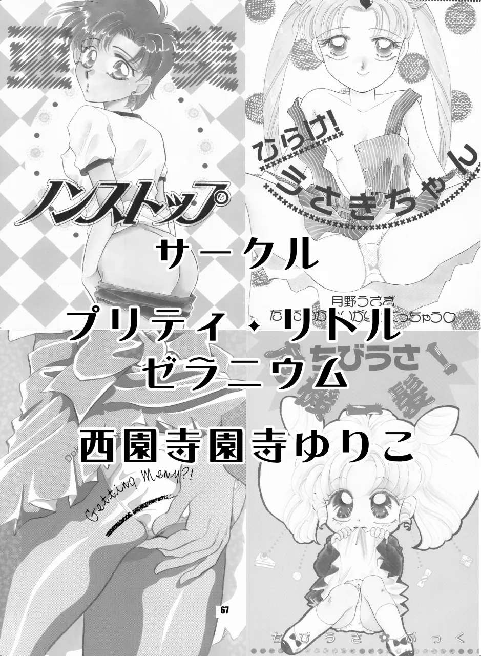 セラムン毒本 - page66