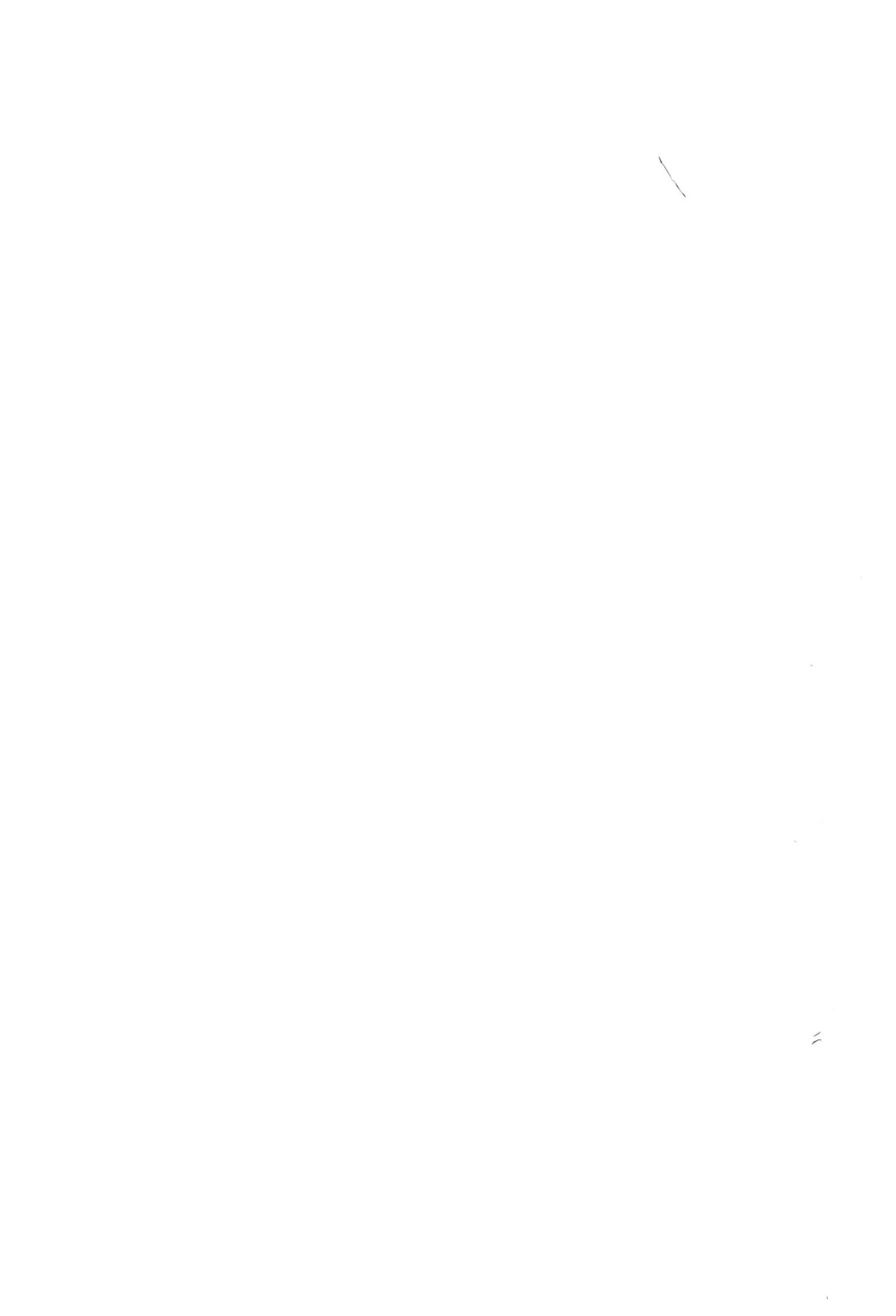 ズンダリンダ) - page2