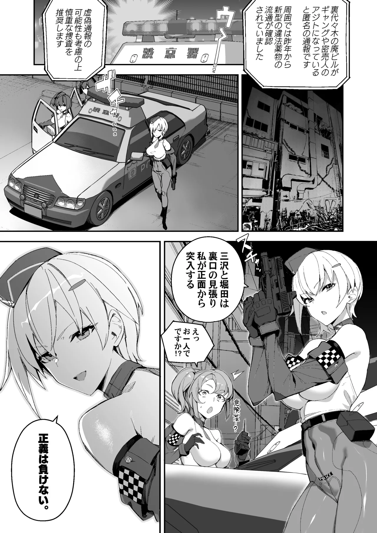 捜査進捗報告書 - page9