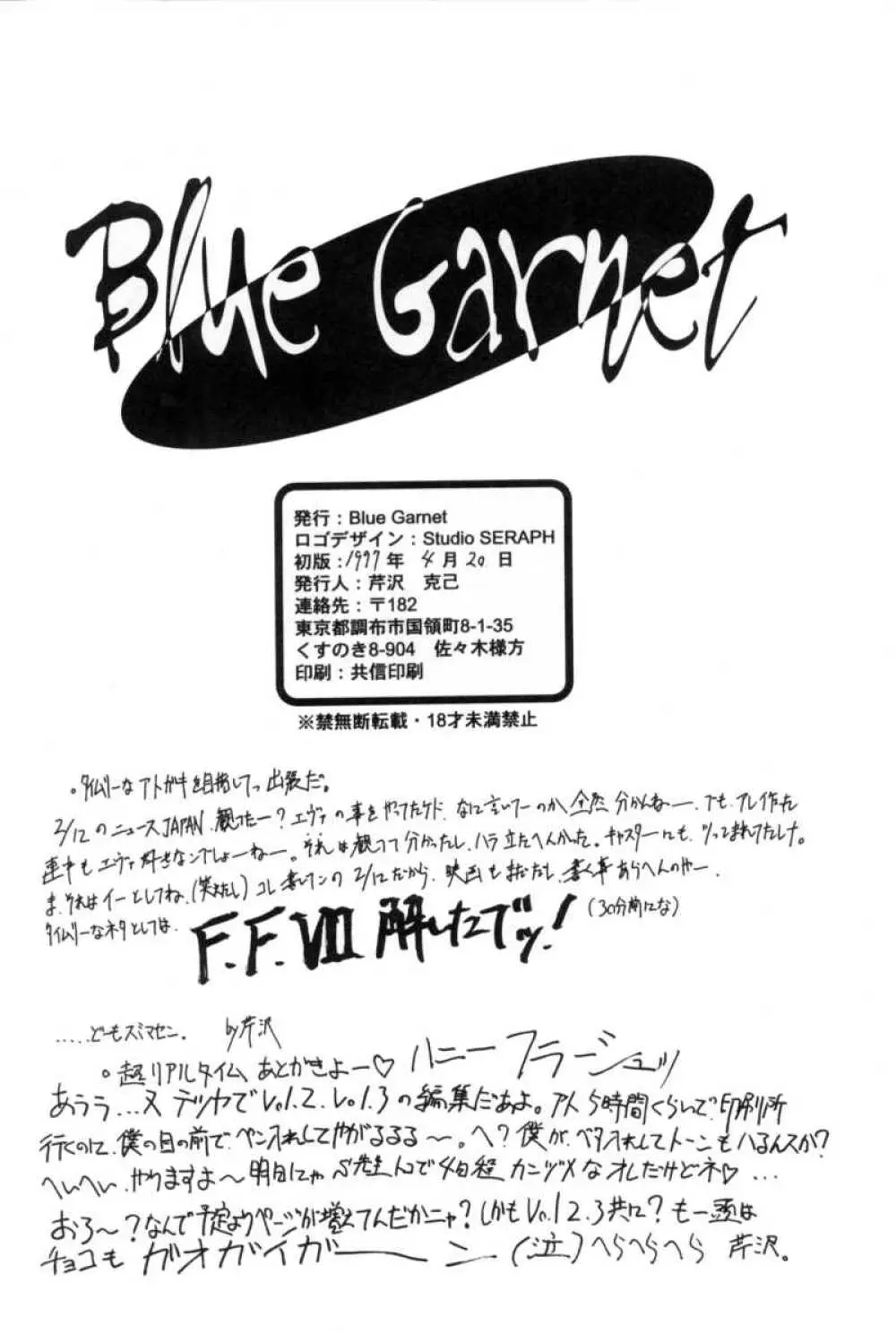 Blue Garnet Vol.02 凌辱 - page77