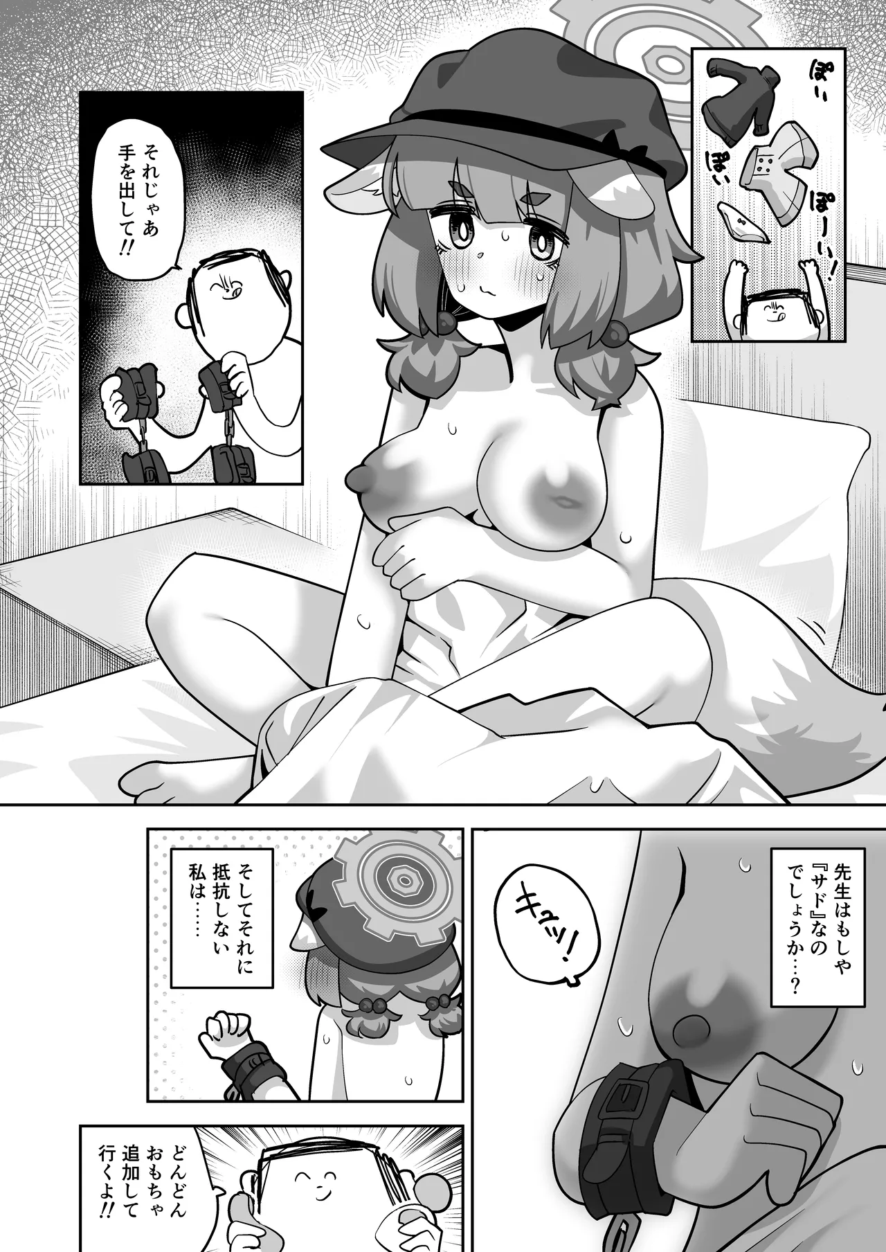 コンフィデンシャル・ビジネス・プラン - page12