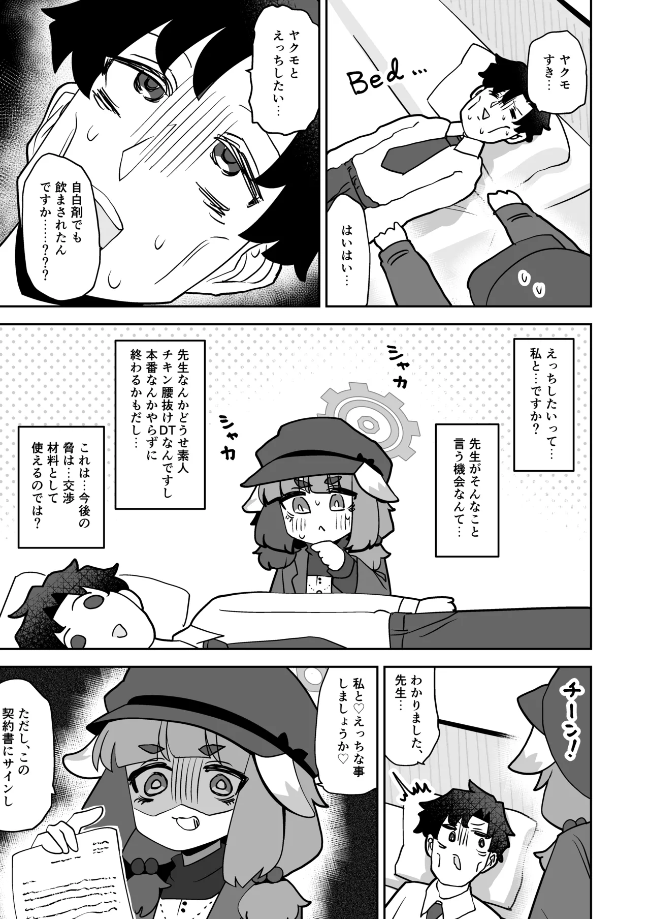 コンフィデンシャル・ビジネス・プラン - page5