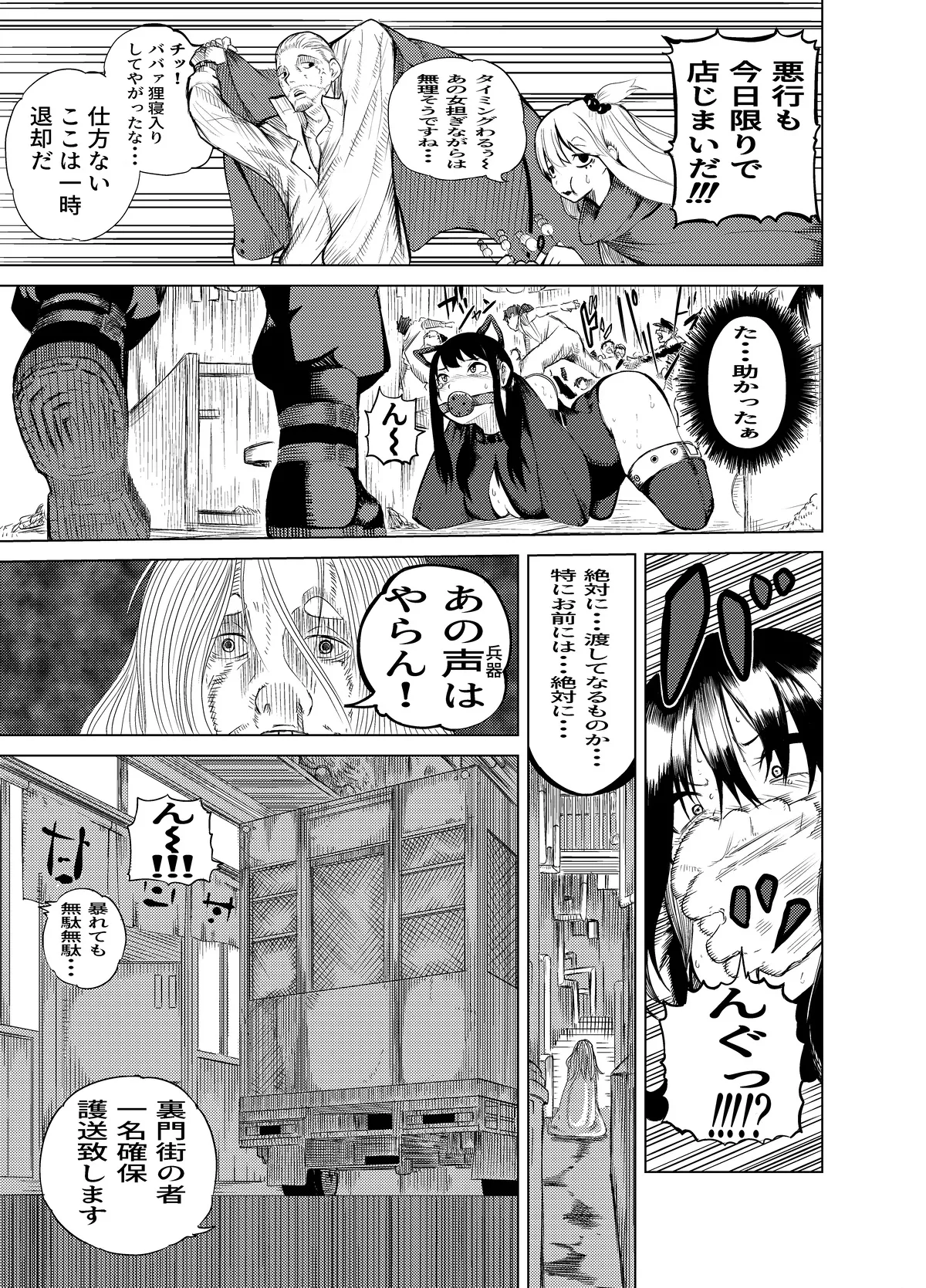 魔法使いの受難 - page48