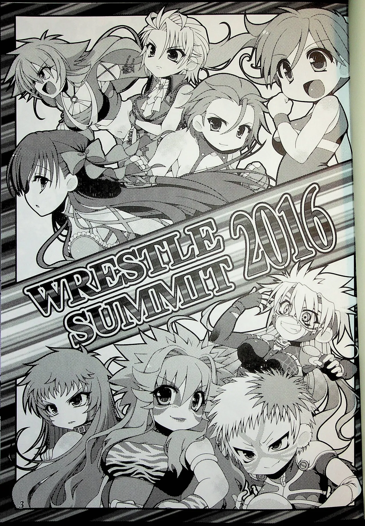 Wrestle Summit 2016 - page2