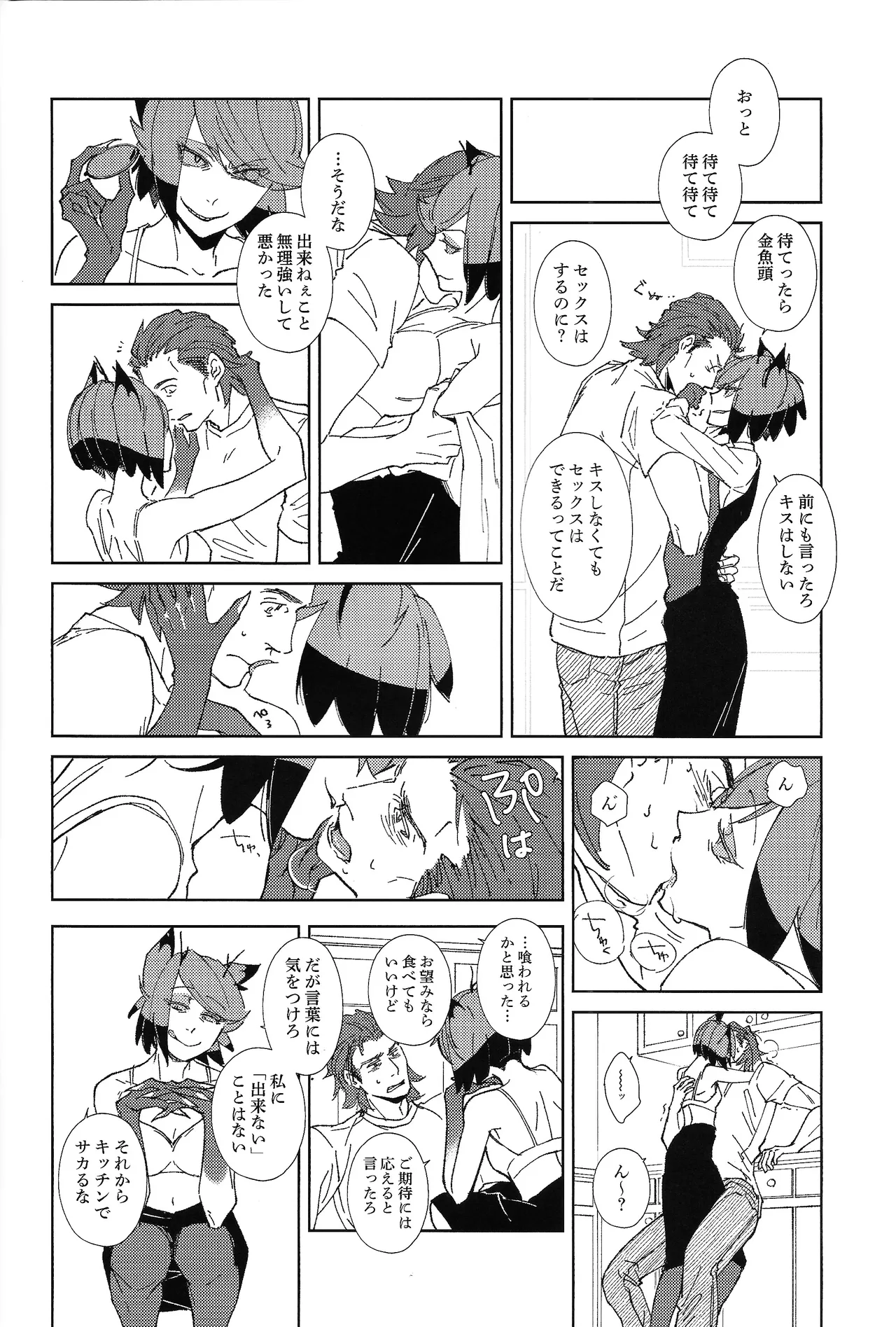 TRANSFIXING TRANSFORMATION - page13