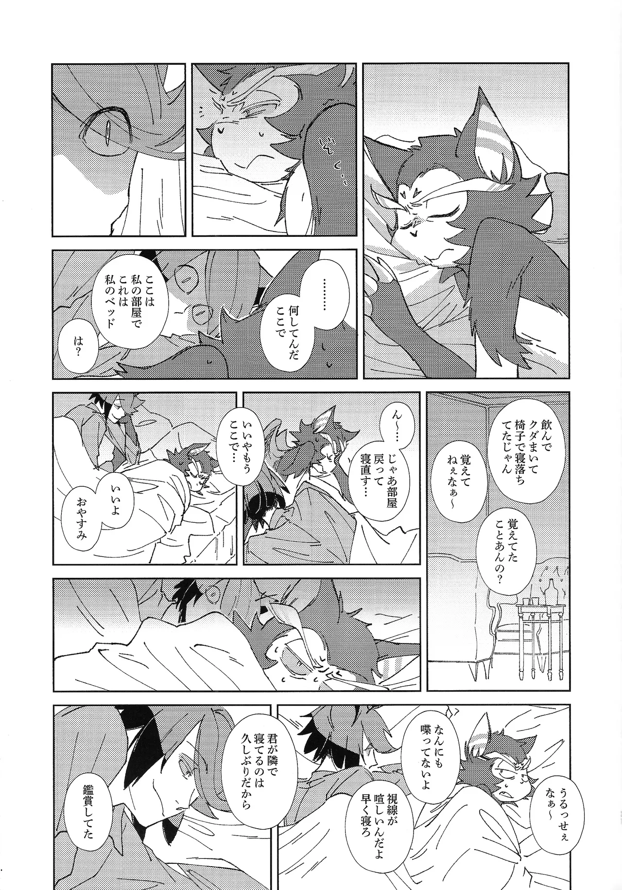 TRANSFIXING TRANSFORMATION - page20