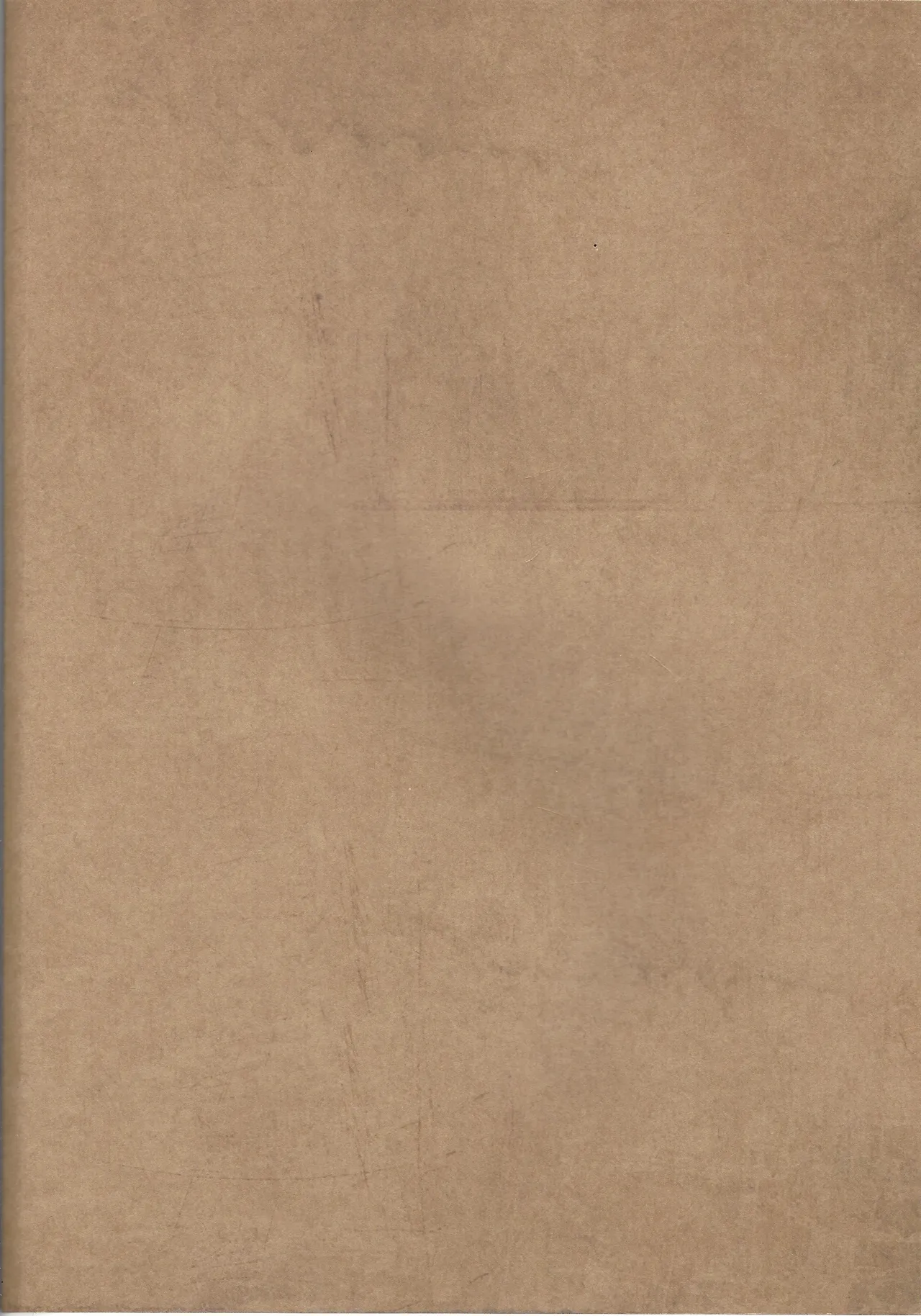 TRANSFIXING TRANSFORMATION - page24