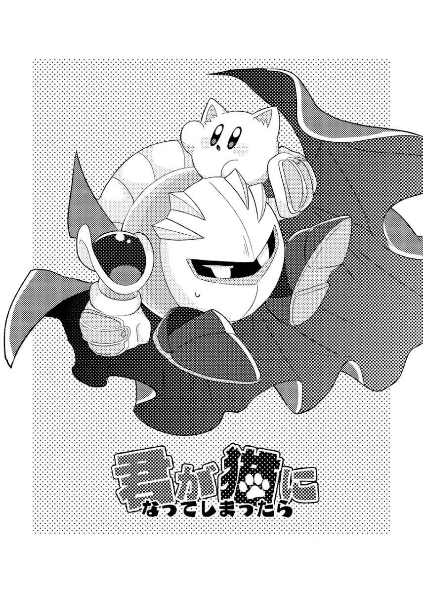 君が猫になってしまったら - page2