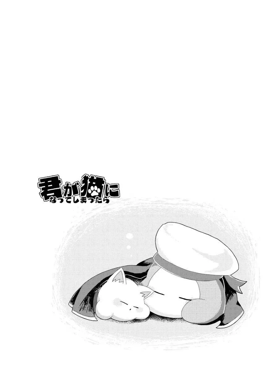 君が猫になってしまったら - page20