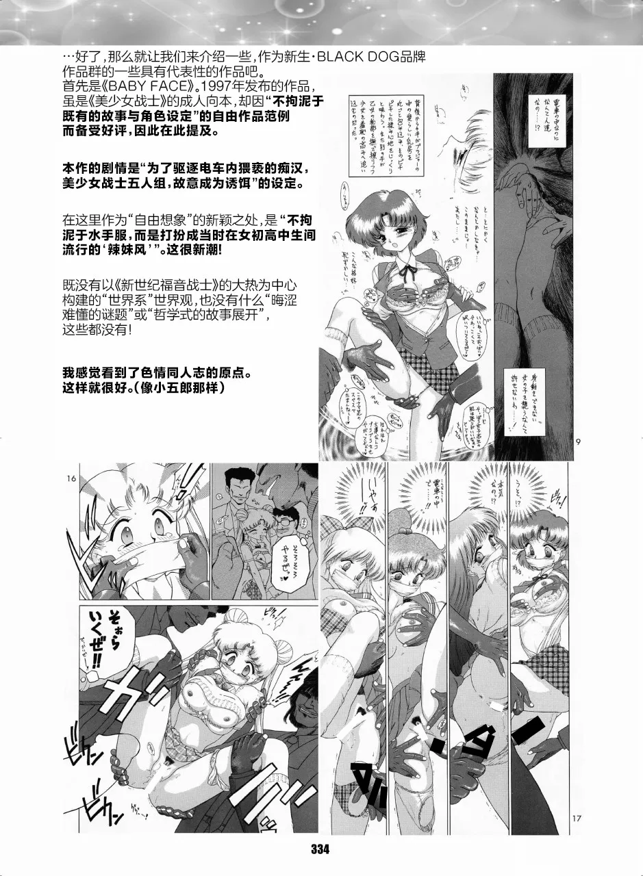 セラムン毒本 [黒犬獣ぶぶん][中国翻译] - page13