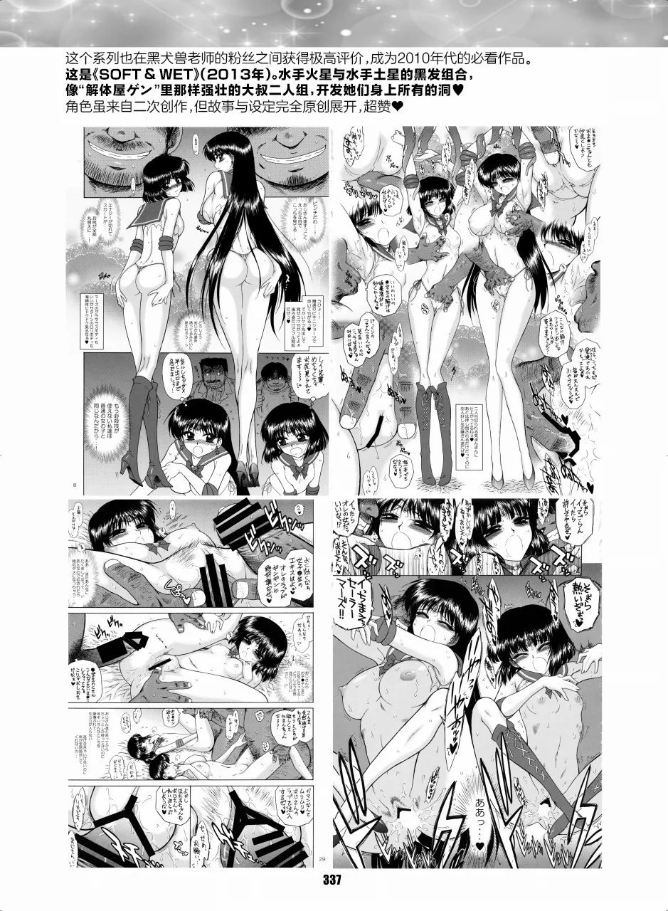セラムン毒本 [黒犬獣ぶぶん][中国翻译] - page16