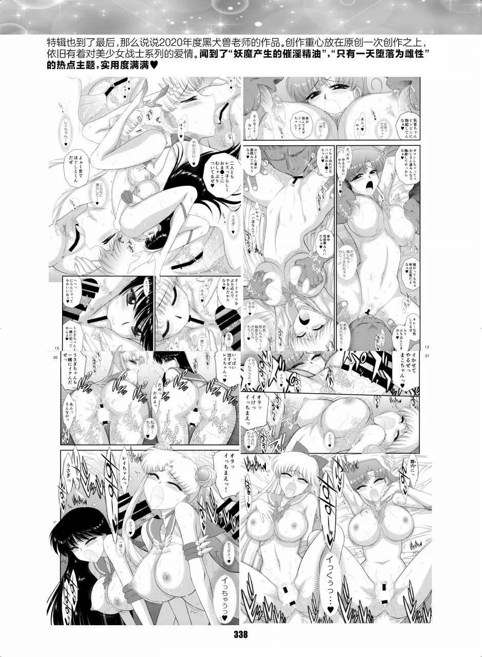 セラムン毒本 [黒犬獣ぶぶん][中国翻译] - page17
