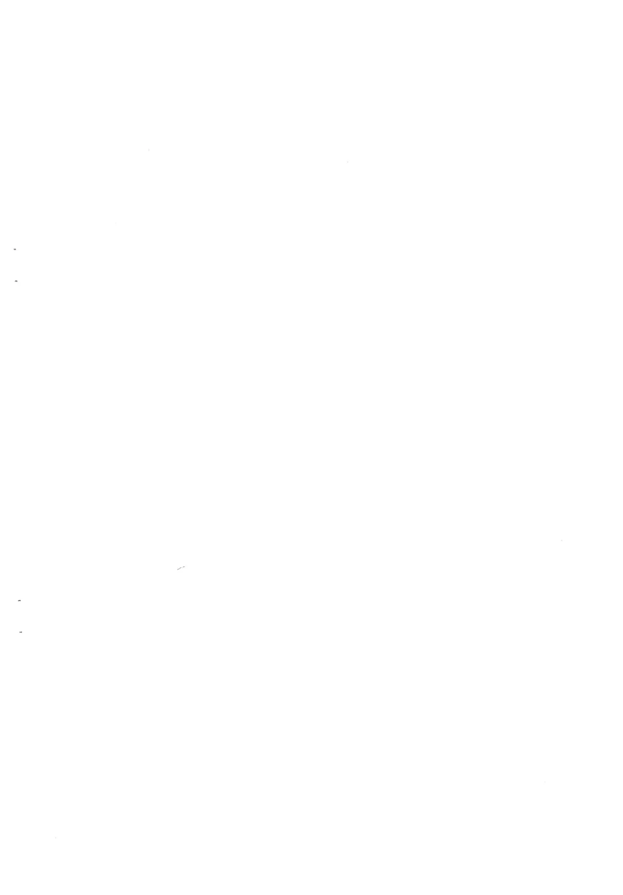 30人31脚で優勝っ - page2