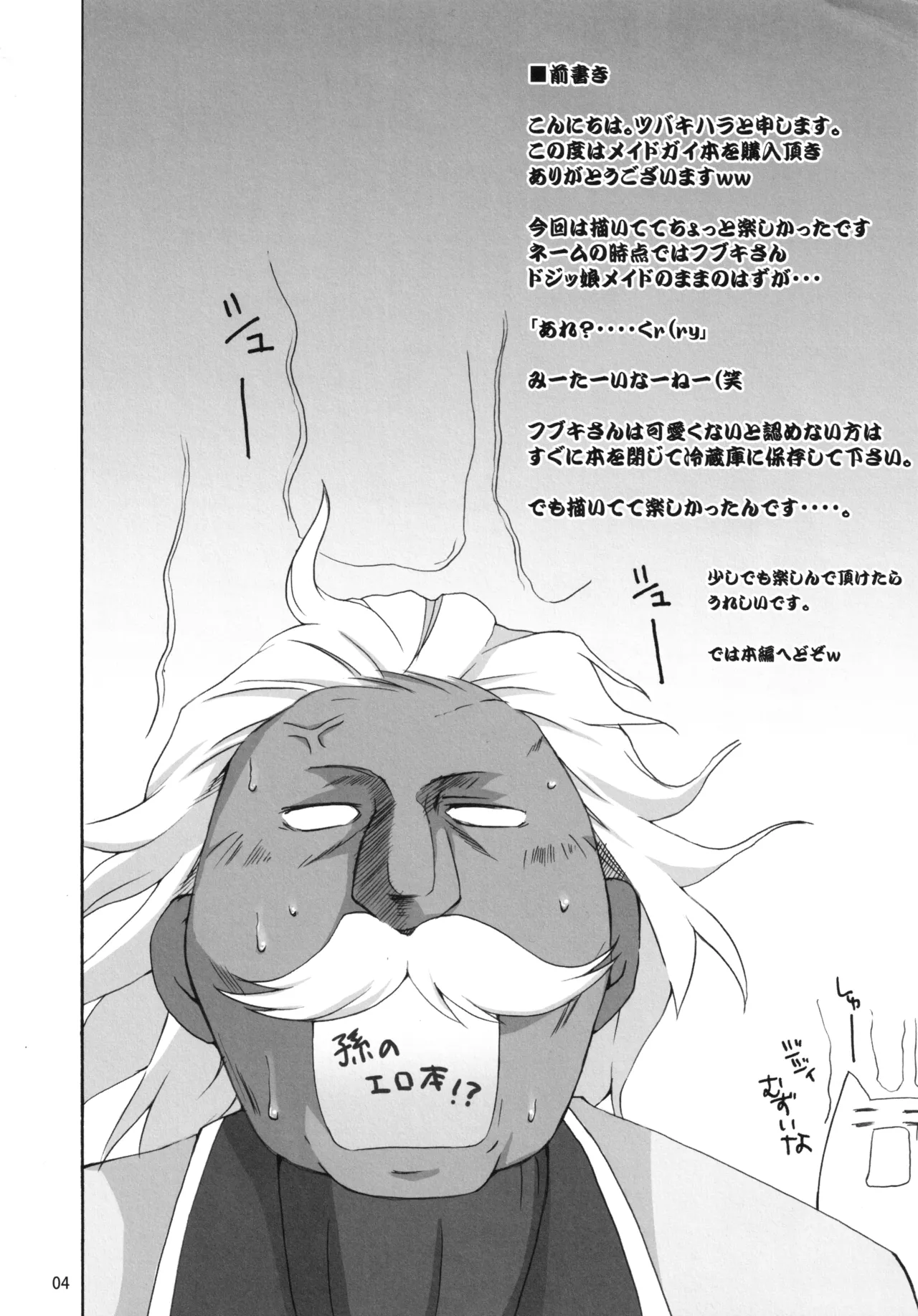 仮面のメイドガール - page3