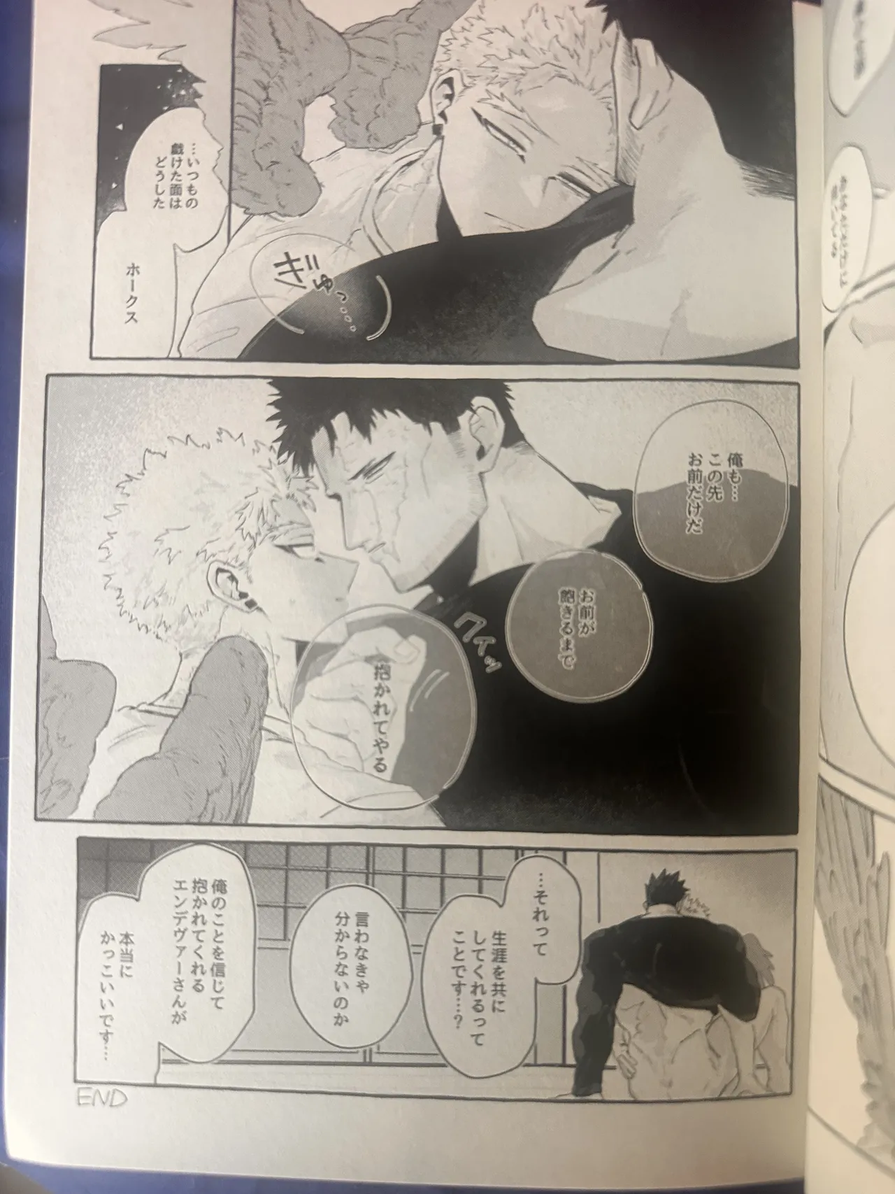 My heroAcademia endever